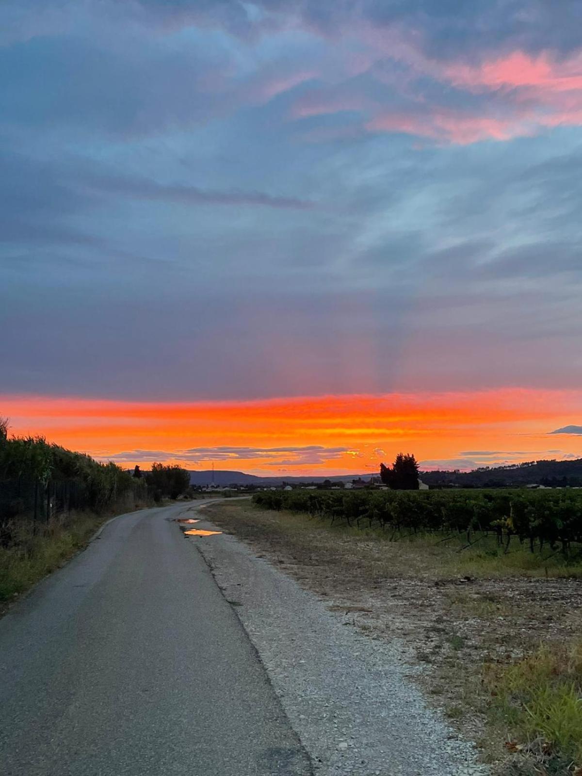 Chambre D'Hotes Les Garrigues Piolenc Eksteriør billede